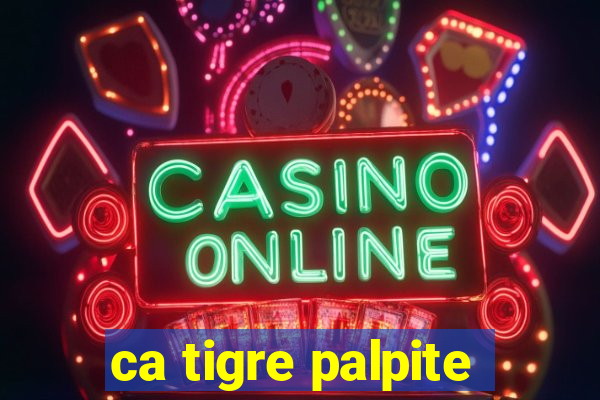 ca tigre palpite